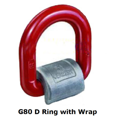 El acero de carbono forjó la soldadura de D Ring Power Coated G80 en anillos en D con el abrigo